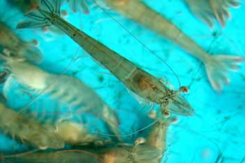 亚洲男人的天堂一区二区无码