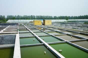 亚洲男人的天堂一区二区无码