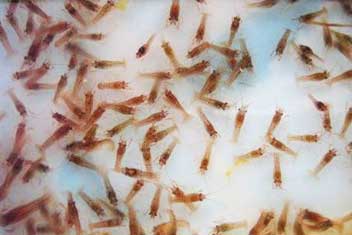 亚洲男人的天堂一区二区无码