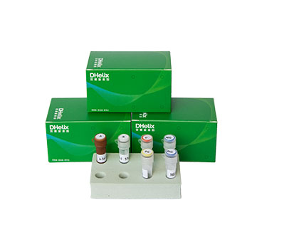 亚洲男人的天堂一区二区无码