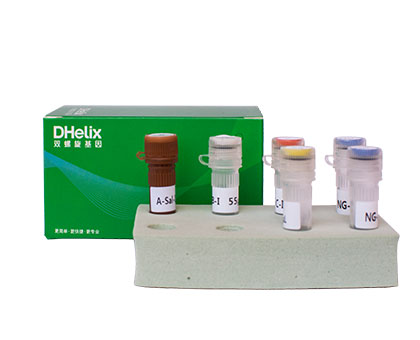 亚洲男人的天堂一区二区无码