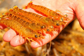 亚洲男人的天堂一区二区无码