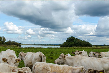 亚洲男人的天堂一区二区无码