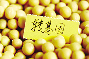 亚洲男人的天堂一区二区无码