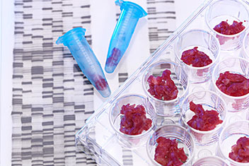 亚洲男人的天堂一区二区无码