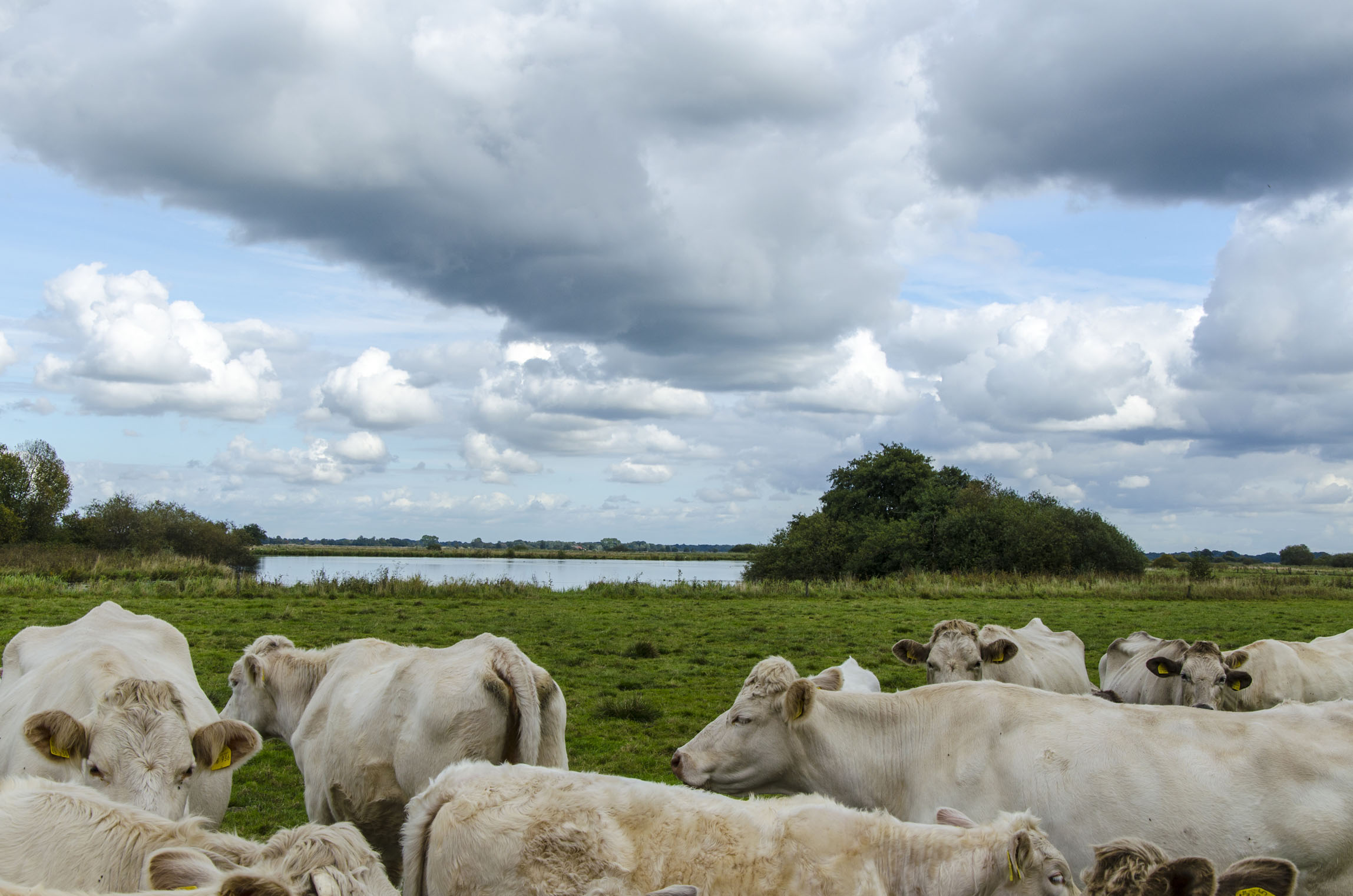 亚洲男人的天堂一区二区无码