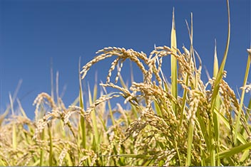 亚洲男人的天堂一区二区无码