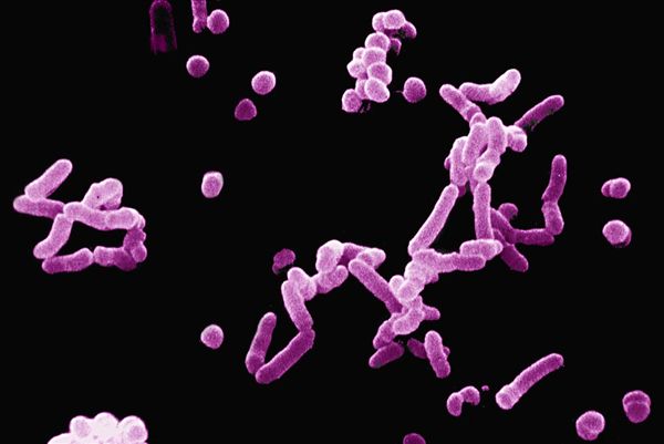 亚洲男人的天堂一区二区无码