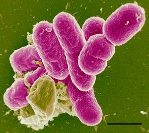 亚洲男人的天堂一区二区无码