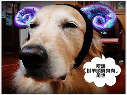 亚洲男人的天堂一区二区无码