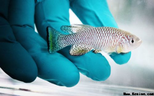 亚洲男人的天堂一区二区无码