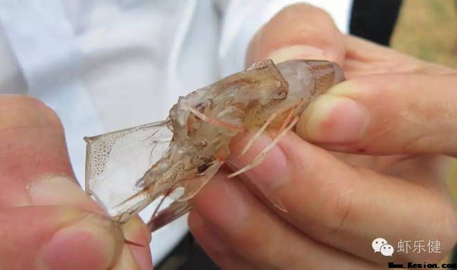 亚洲男人的天堂一区二区无码