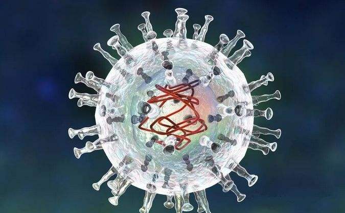 病毒图.jpg 病毒图.jpg