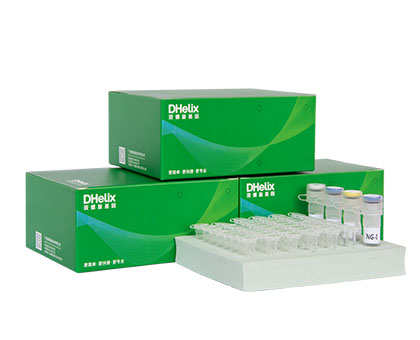 亚洲男人的天堂一区二区无码