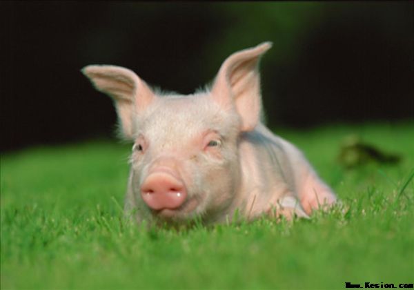 亚洲男人的天堂一区二区无码