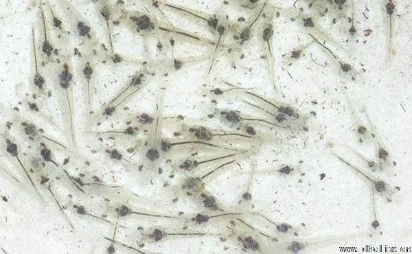 亚洲男人的天堂一区二区无码