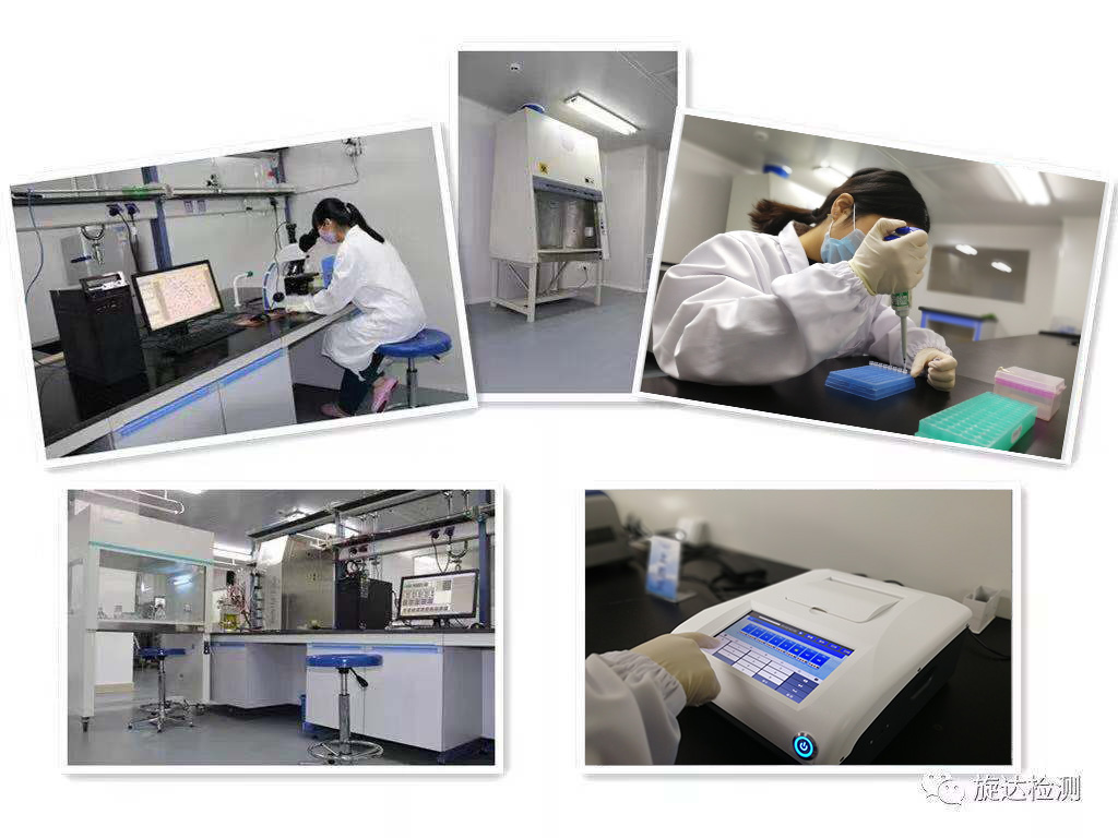 微信图片_20191016105609.jpg 微信图片_20191016105609.jpg