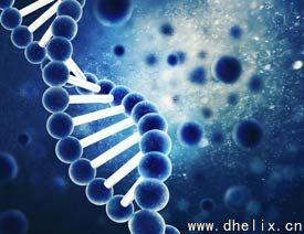 亚洲男人的天堂一区二区无码