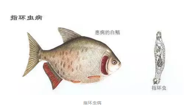 微信图片_20200401140914.png 微信图片_20200401140914.png