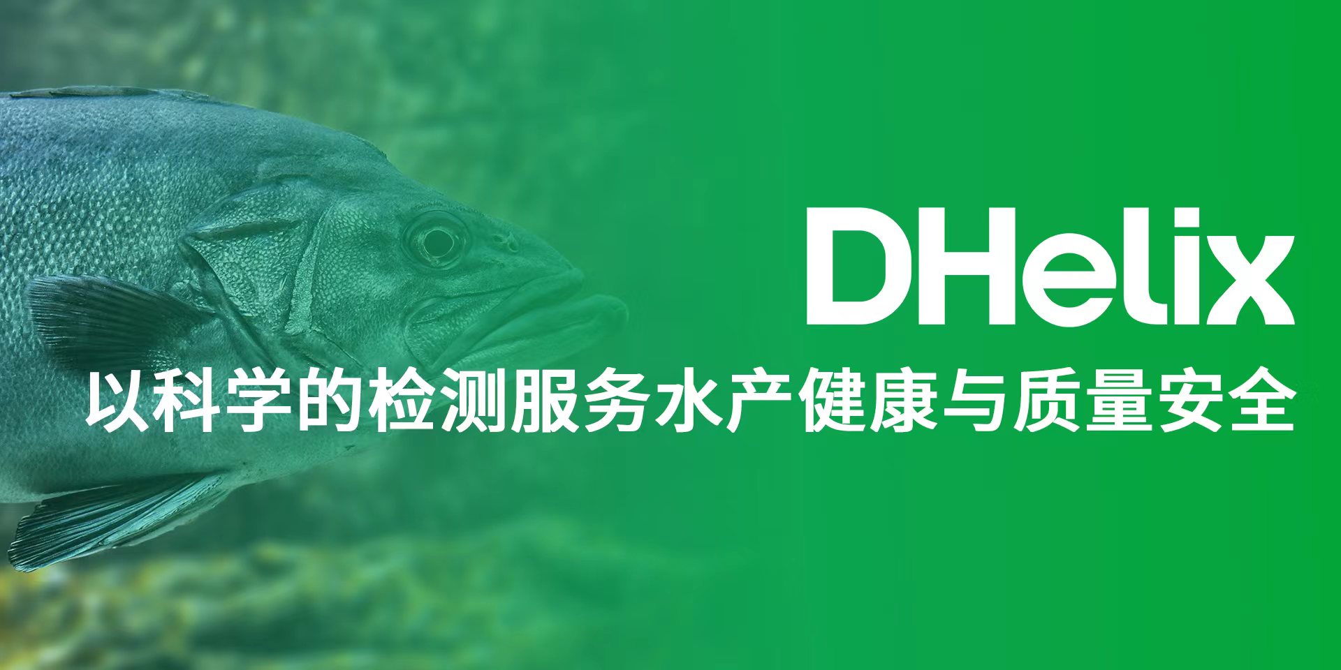 亚洲男人的天堂一区二区无码