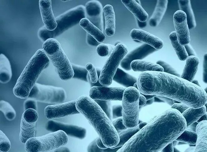 1615967210(1).jpg 1615967210(1).jpg