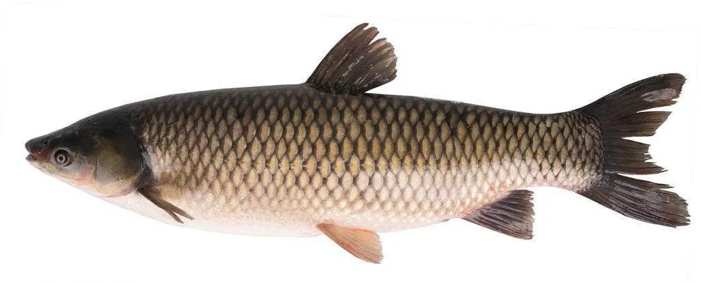 亚洲男人的天堂一区二区无码