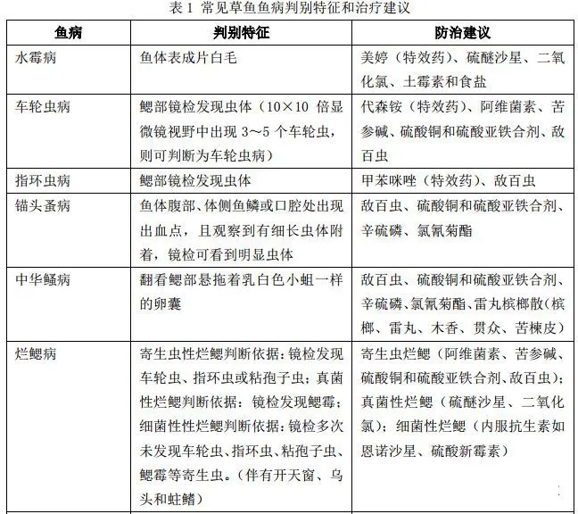 640.webp.jpg 640.webp.jpg