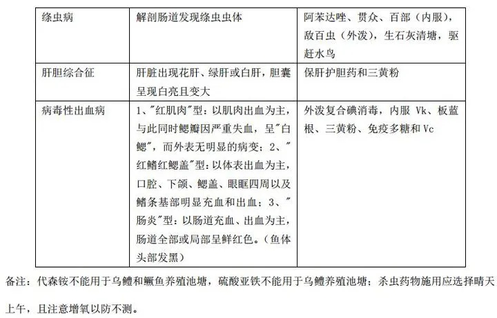 640.webp.jpg 640.webp.jpg