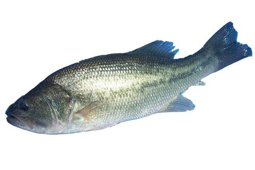 亚洲男人的天堂一区二区无码