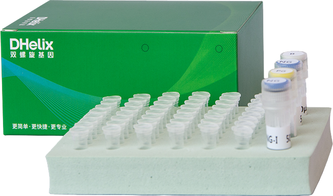 亚洲男人的天堂一区二区无码