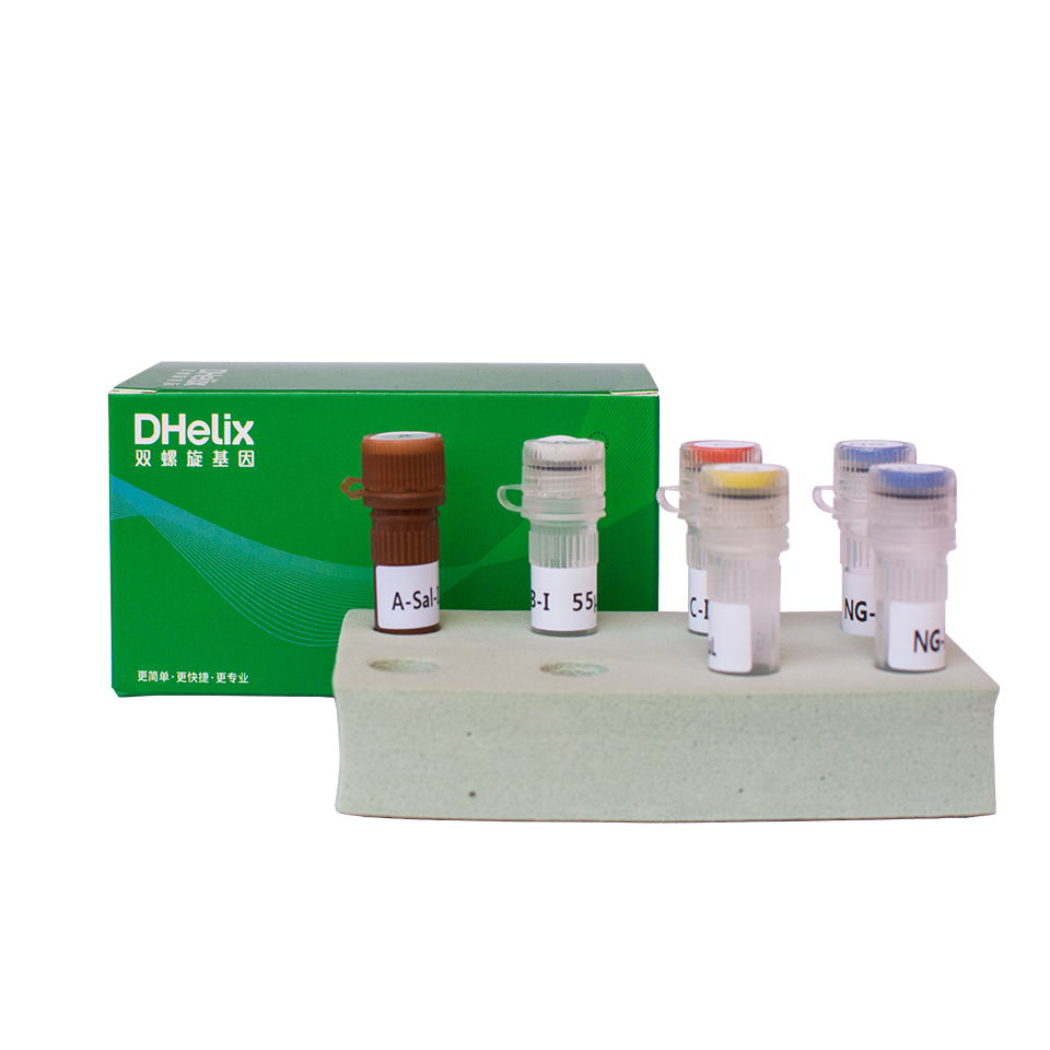 亚洲男人的天堂一区二区无码