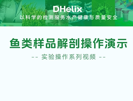 亚洲男人的天堂一区二区无码