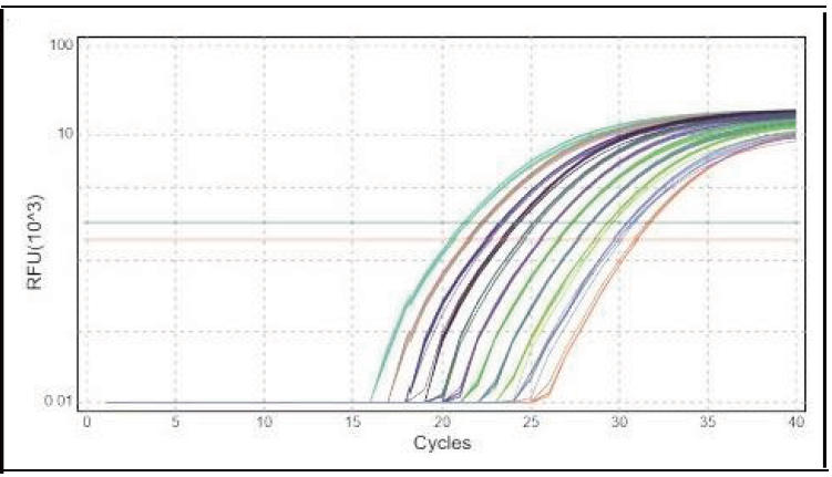 1.33倍浓度梯度检测图表