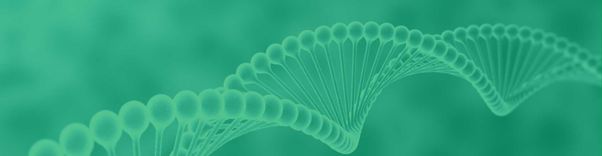 亚洲男人的天堂一区二区无码