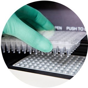 亚洲男人的天堂一区二区无码