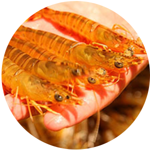 亚洲男人的天堂一区二区无码