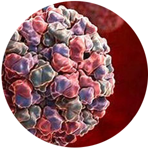 亚洲男人的天堂一区二区无码