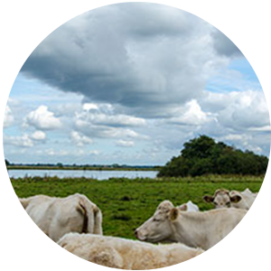 亚洲男人的天堂一区二区无码