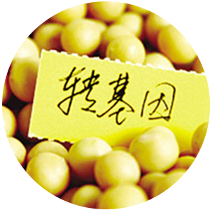 亚洲男人的天堂一区二区无码