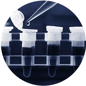 亚洲男人的天堂一区二区无码