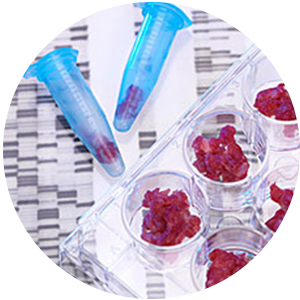 亚洲男人的天堂一区二区无码